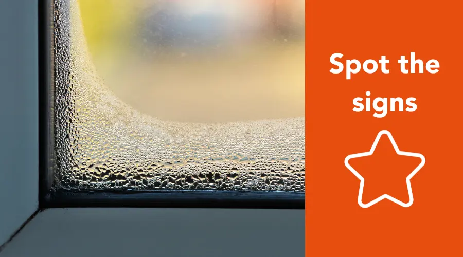 STAR S Spot The Signs Of Damp And Mould