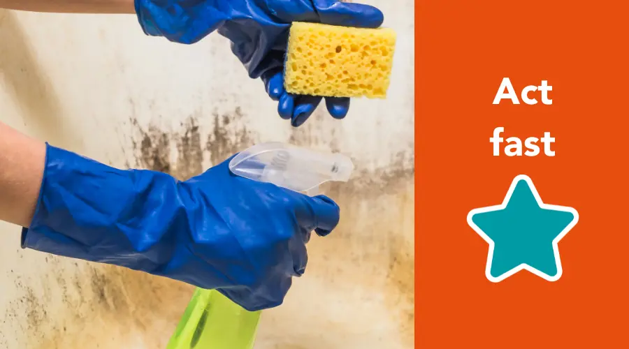 STAR A Act Fast To Tackle Damp And Mould