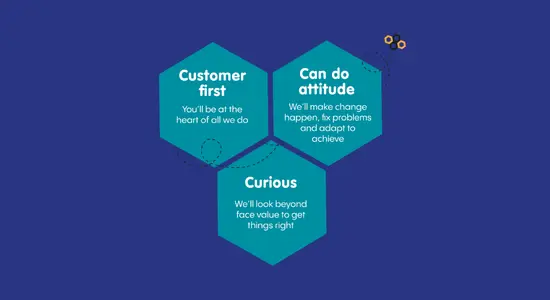 Everyone Who Works For Berneslai Homes Embraces These Values