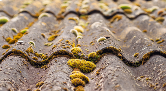 Asbestos within building materials