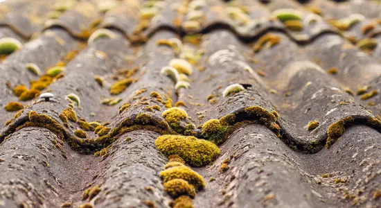 Asbestos building up on a roof tile.png